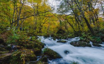 Cómo se distribuye el agua en el planeta