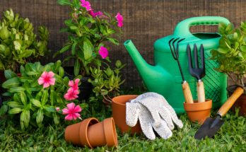Consejos para decorar tu jardín