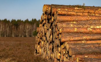 Impacto de las actividades humanas sobre la naturaleza