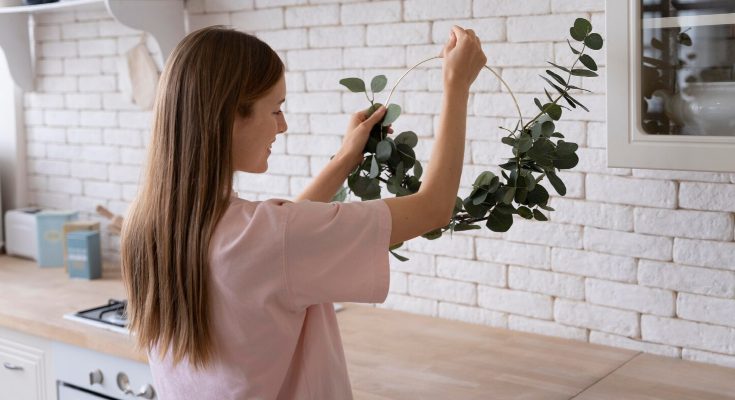 Plantas para decorar cocinas