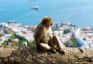 Errores frecuentes al visitar Gibraltar